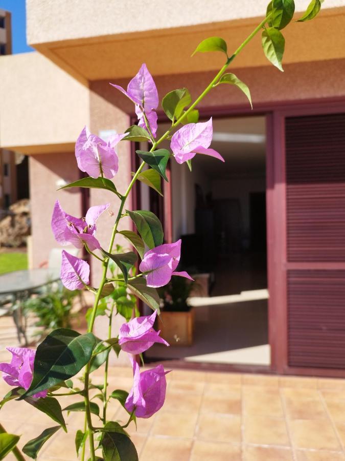 Vivienda Vacacional Compartida Radazul Bed & Breakfast エクステリア 写真