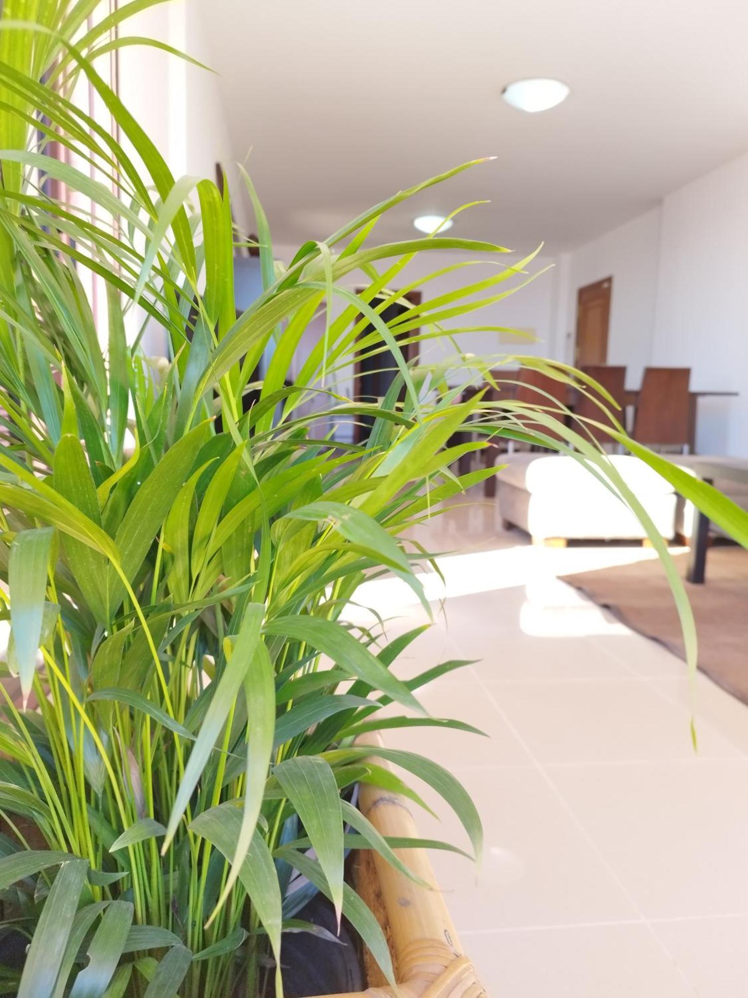Vivienda Vacacional Compartida Radazul Bed & Breakfast エクステリア 写真